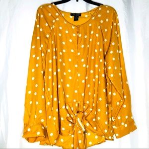 Plus Size Polka Dot Blouse